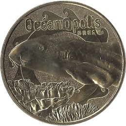 BREST - Océanopolis 10 (Requin Zèbre) / MONNAIE DE PARIS 2022