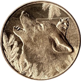 SAINT-AIGNAN-SUR-CHER - ZooParc de Beauval 14 (le Loup) / MONNAIE DE PARIS 2022